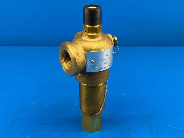 Kunkle 912BDCM01-KE, 1/2" Safety Valve Threaded Cap .50" x .75" Gas ASME Section VIII and XIII (UV)