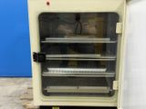 Thumbnail 67