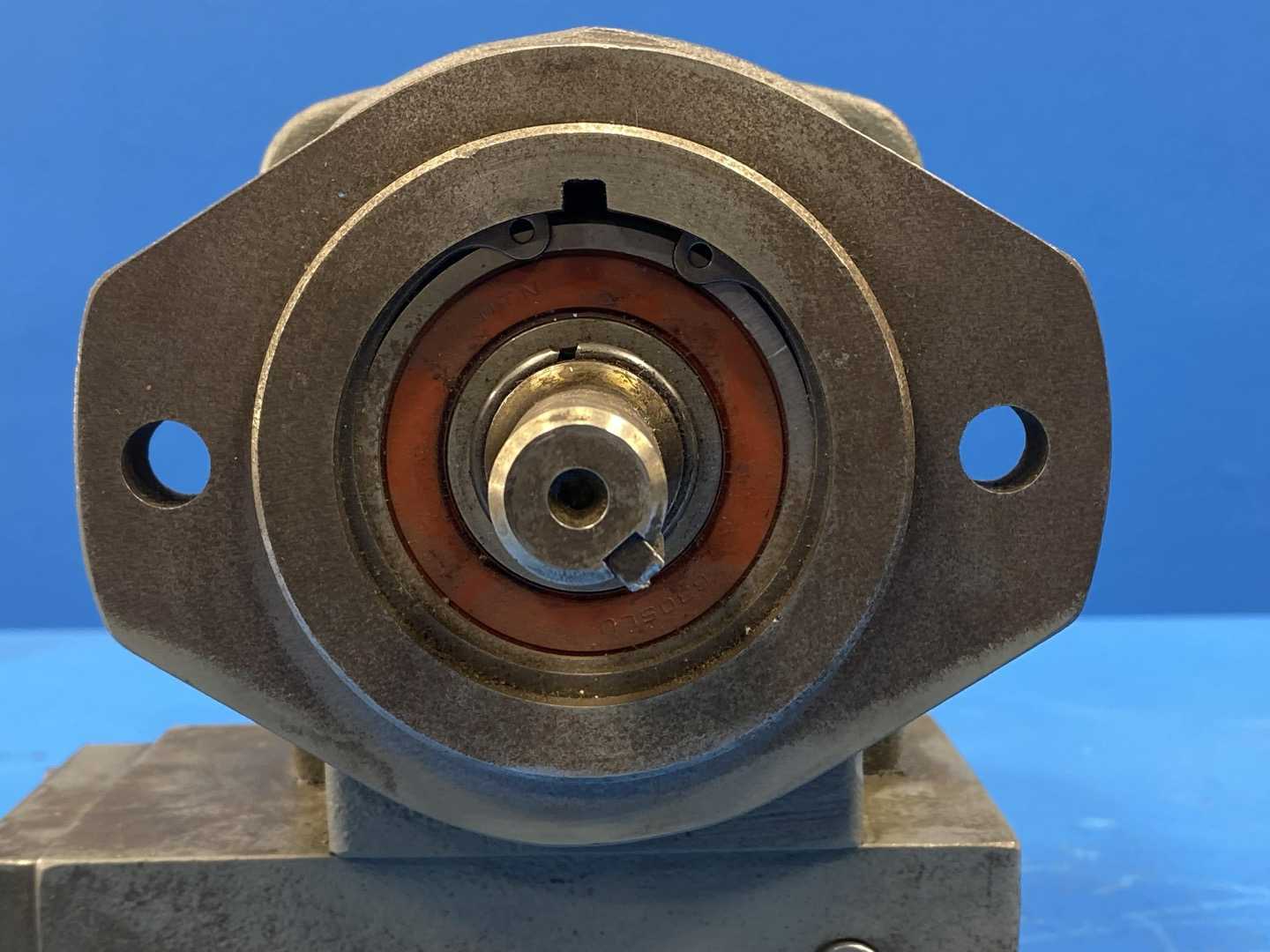 Thumbnail 11
